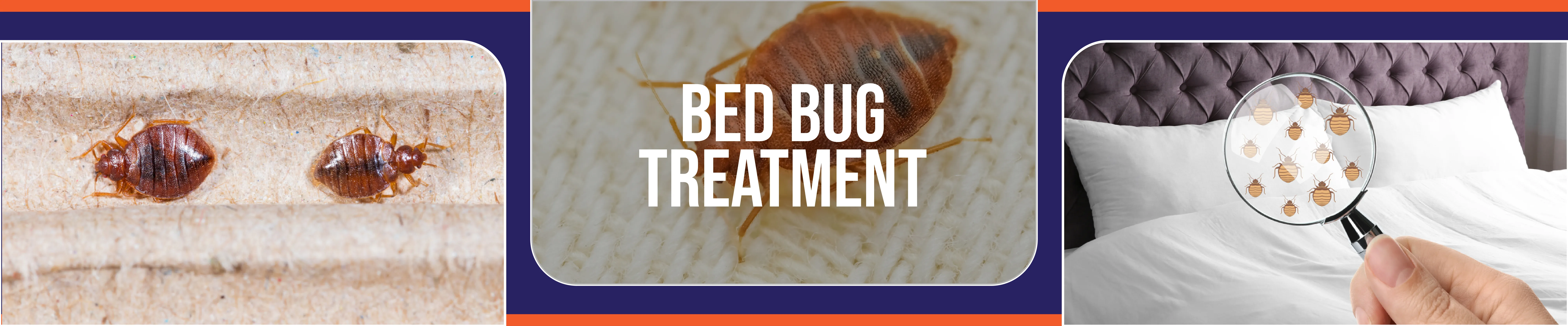 carpet cleaning in the suffolk, carpet cleaning in the suffolk, carpet cleaning the suffolk, carpet cleaners in the suffolk, carpet cleaners in the suffolk, commercial carpet cleaning, commercial carpet cleaning in the suffolk, the suffolk rug cleaners, rug cleaning services in the suffolk, same day carpet cleaning, same day rug cleaning