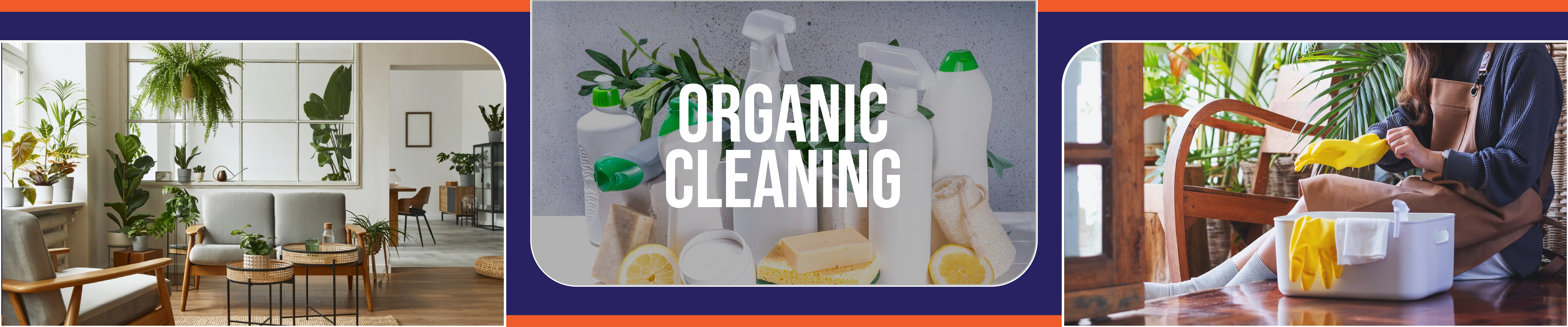 carpet cleaning in the suffolk, carpet cleaning in the suffolk, carpet cleaning the suffolk, carpet cleaners in the suffolk, carpet cleaners in the suffolk, commercial carpet cleaning, commercial carpet cleaning in the suffolk, the suffolk rug cleaners, rug cleaning services in the suffolk, same day carpet cleaning, same day rug cleaning