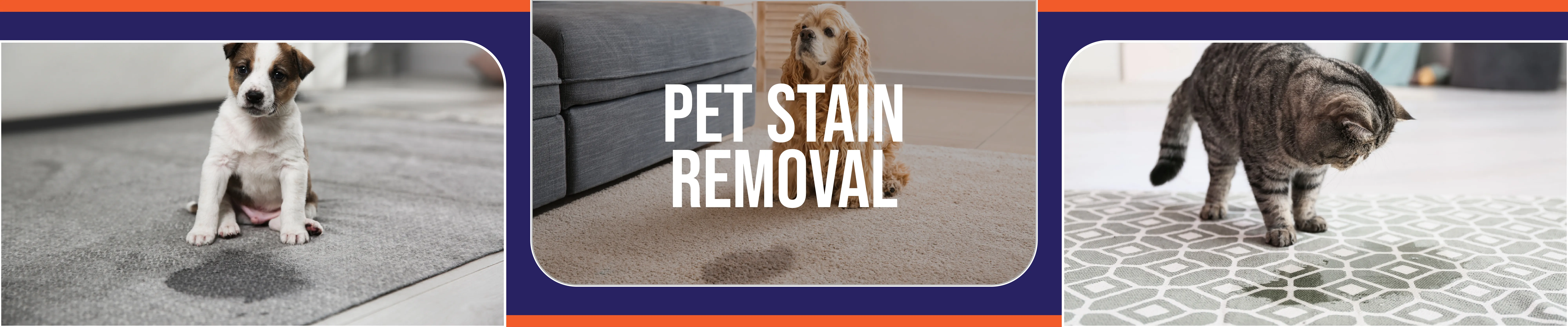 carpet cleaning in the suffolk, carpet cleaning in the suffolk, carpet cleaning the suffolk, carpet cleaners in the suffolk, carpet cleaners in the suffolk, commercial carpet cleaning, commercial carpet cleaning in the suffolk, the suffolk rug cleaners, rug cleaning services in the suffolk, same day carpet cleaning, same day rug cleaning