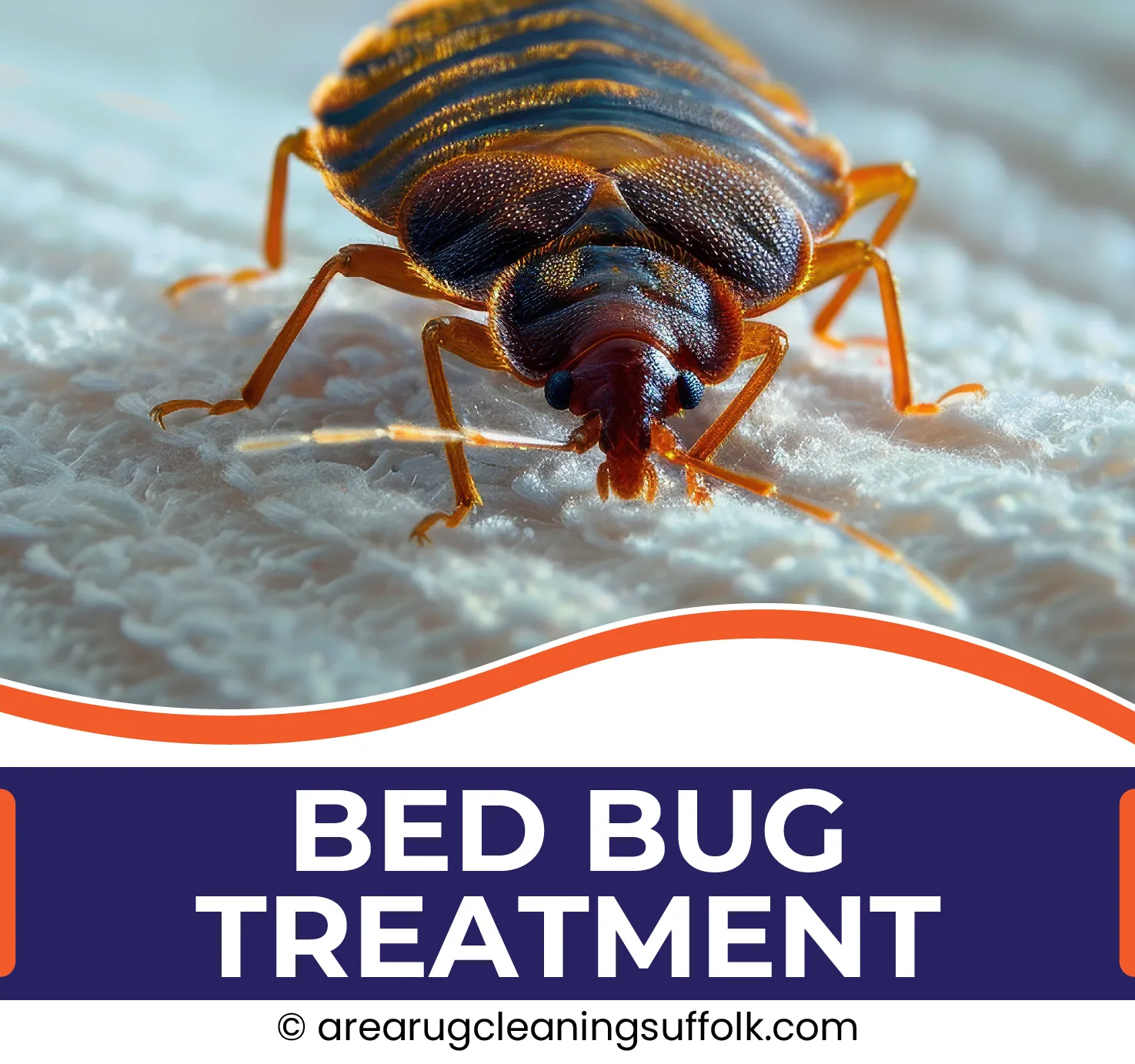 carpet cleaning in the suffolk, carpet cleaning in the suffolk, carpet cleaning the suffolk, carpet cleaners in the suffolk, carpet cleaners in the suffolk, commercial carpet cleaning, commercial carpet cleaning in the suffolk, the suffolk rug cleaners, rug cleaning services in the suffolk, same day carpet cleaning, same day rug cleaning