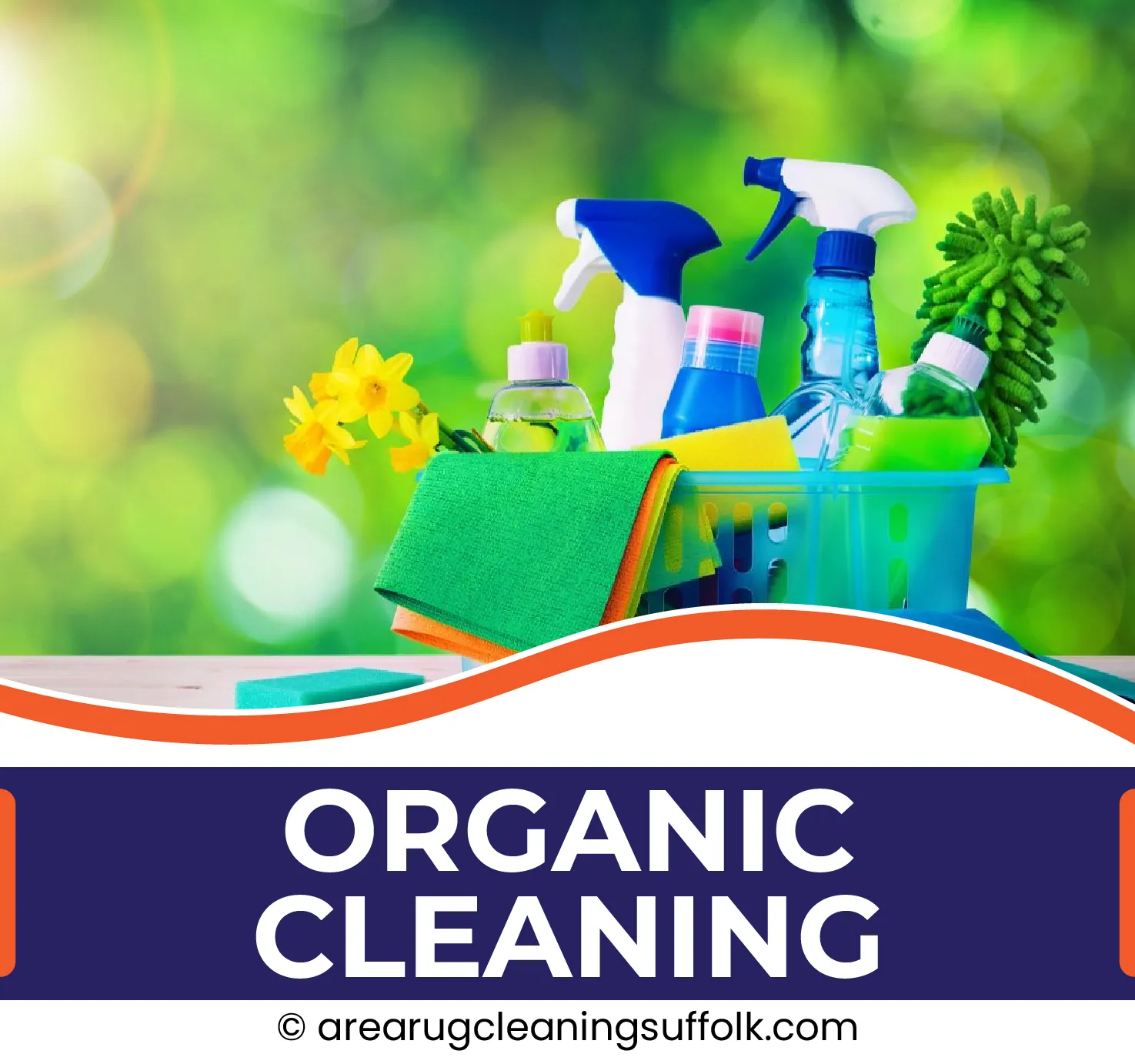 carpet cleaning in the suffolk, carpet cleaning in the suffolk, carpet cleaning the suffolk, carpet cleaners in the suffolk, carpet cleaners in the suffolk, commercial carpet cleaning, commercial carpet cleaning in the suffolk, the suffolk rug cleaners, rug cleaning services in the suffolk, same day carpet cleaning, same day rug cleaning